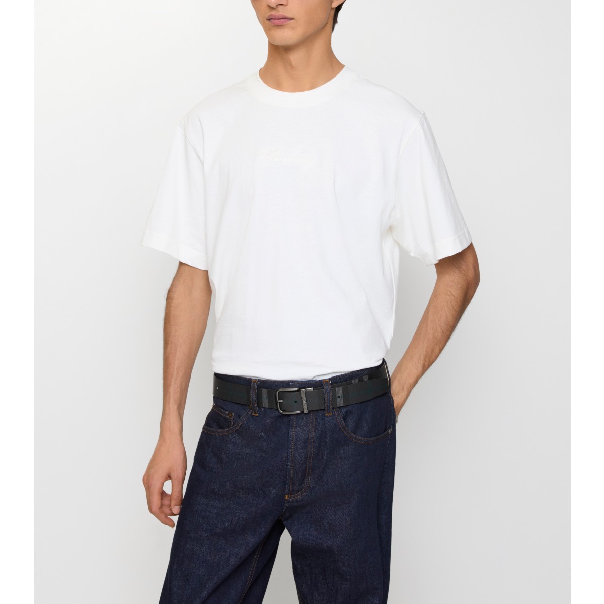  Check Reversible Pin Belt