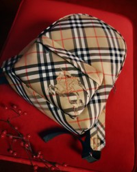 Shot of a Burberry Check Backpack