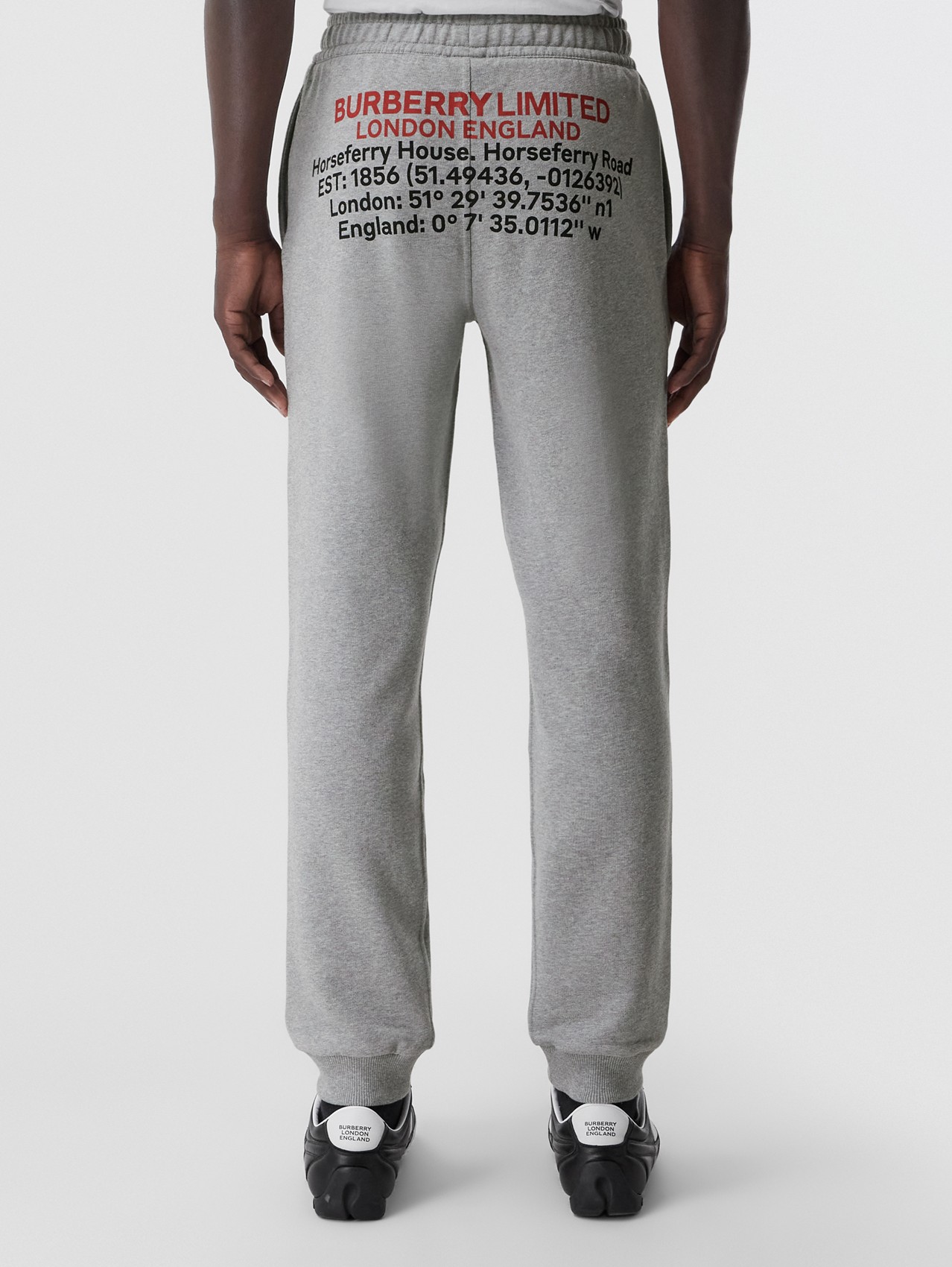 Pantalon de jogging en coton avec coordonnées (Camaïeu  Gris Pâles)