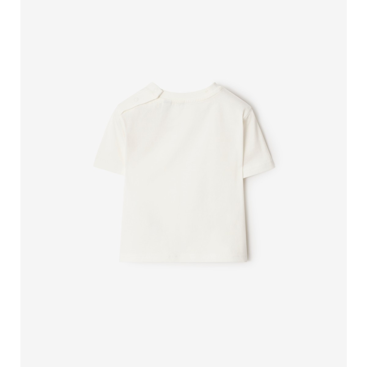  Check Surfer Bear T-shirt