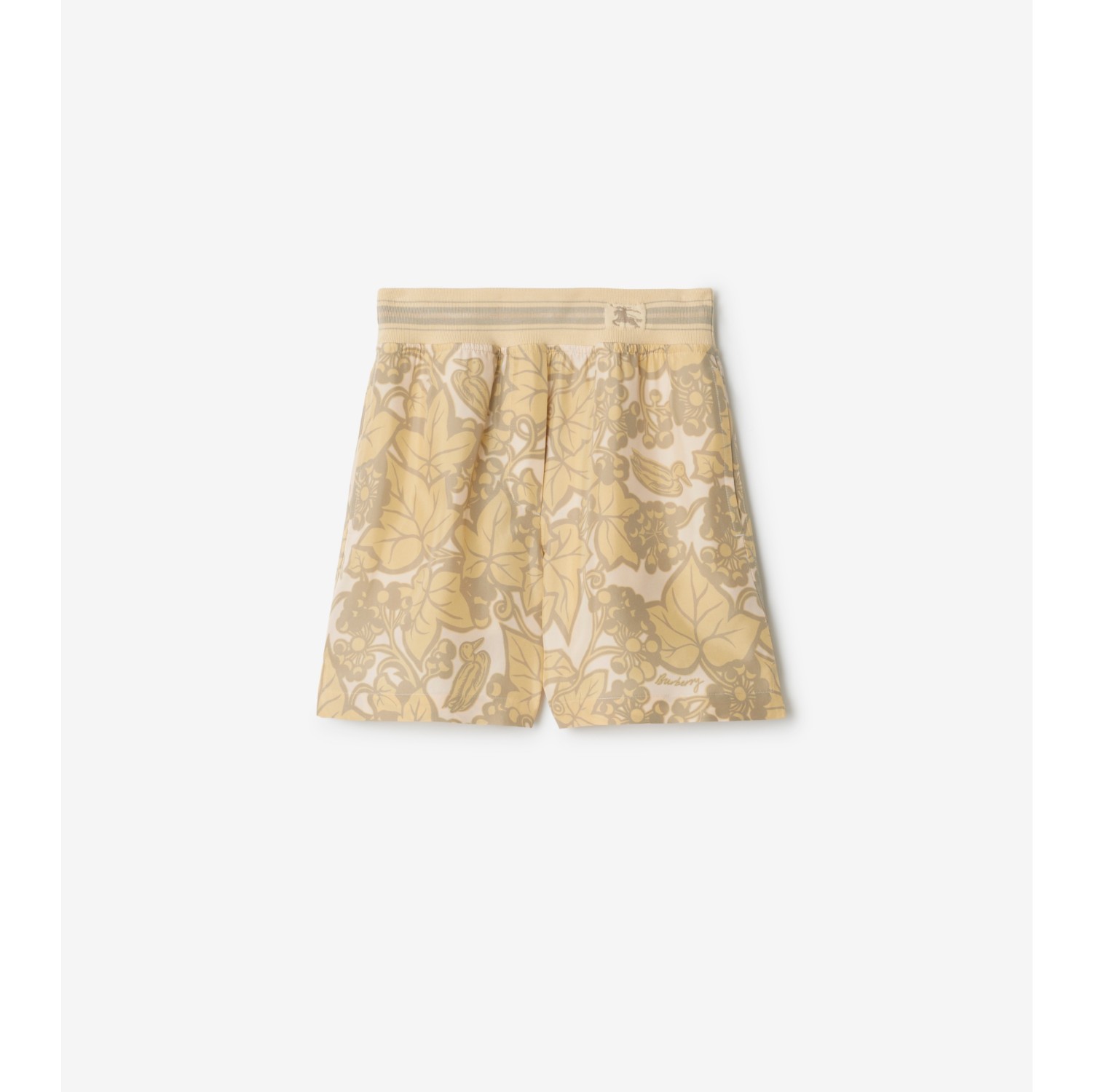 Ivy Silk Shorts