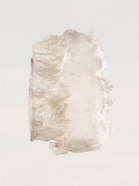 Burberry Signatures Snow Blossom