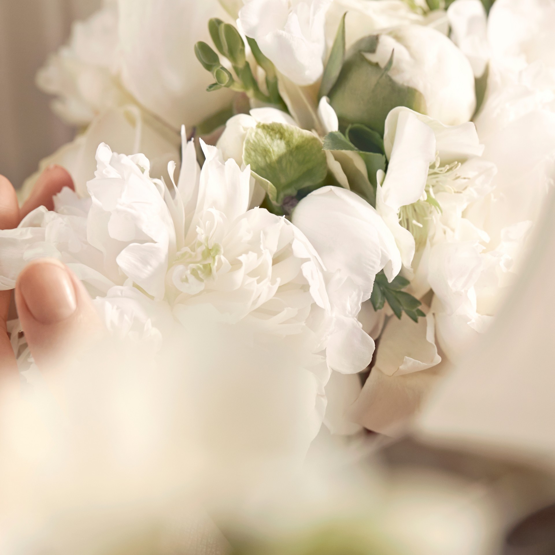 My Burberry Shower Oil 240ml in Honey Trench Women Burberry United