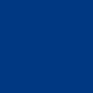 Bleu Firth
