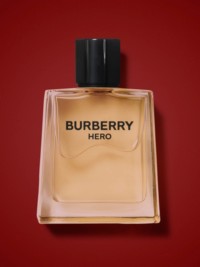 Burberry Hero Eau de Toilette 100ml
