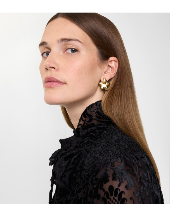 Boucles d'oreilles Star