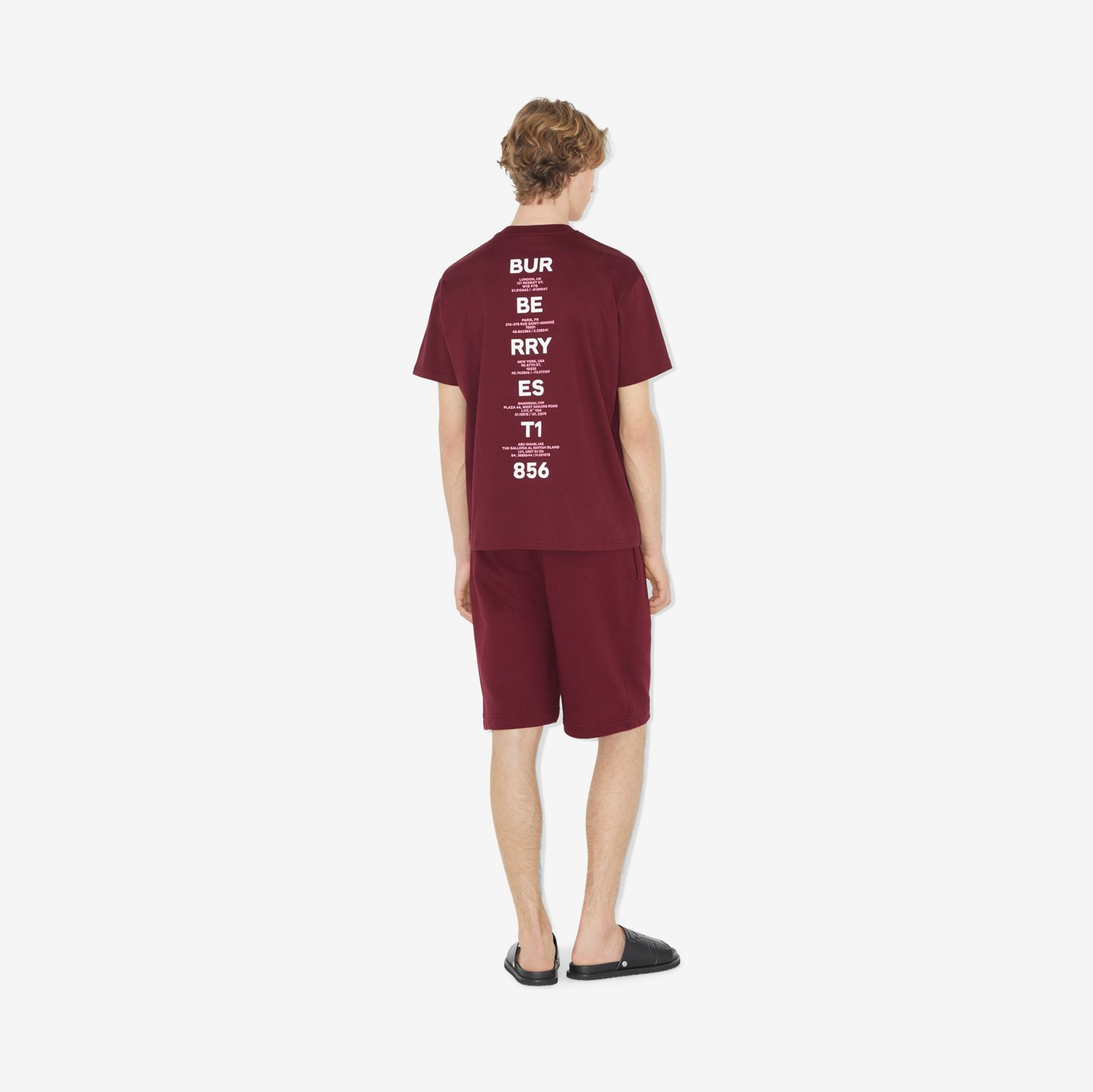 T-shirt en coton à imprimé mod (Carmin Intense) - Homme | Site officiel Burberry®