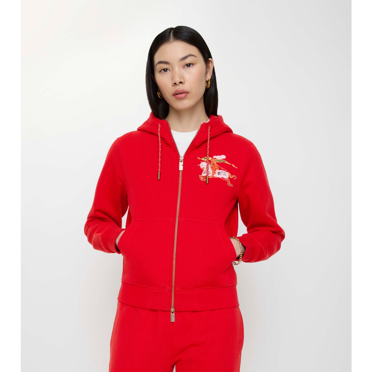  Embroidered Zip Hoodie