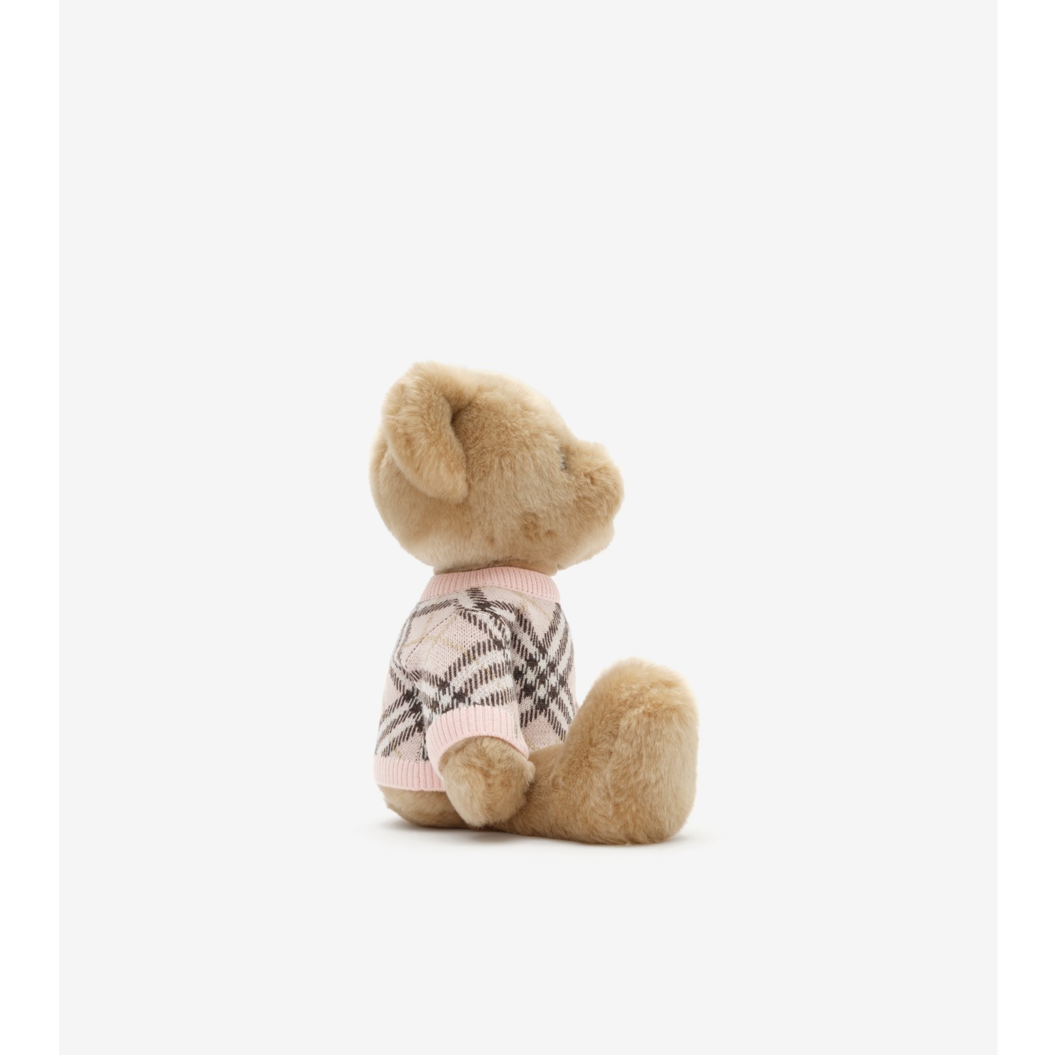 Thomas Bear