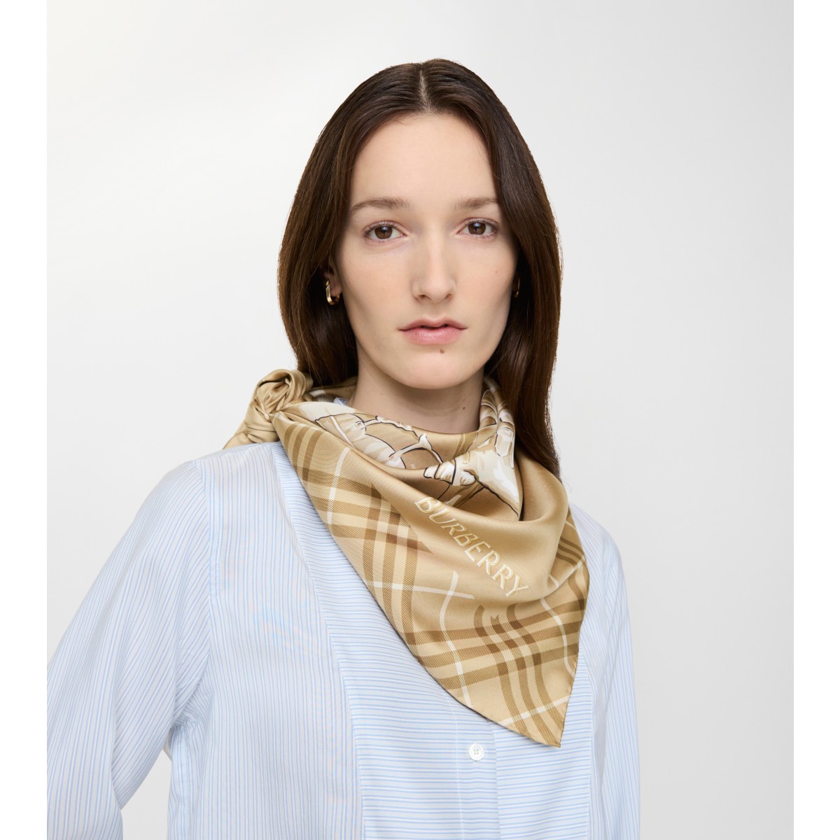  Check Archive Knight Silk Scarf