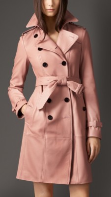 deerskin trench coat