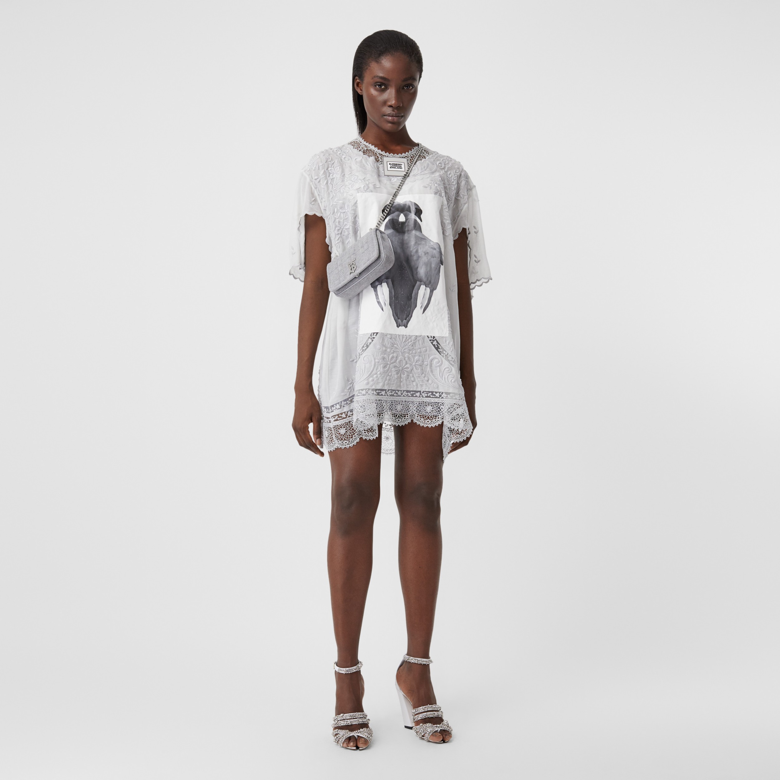 Lace Trim Swan Print Embroidered Cotton Dress in Light Pebble Grey