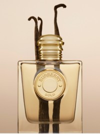 Bottle of Burberry Gold