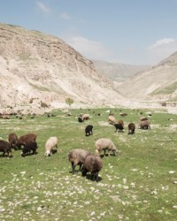 Notre engagement pour la biodiversité