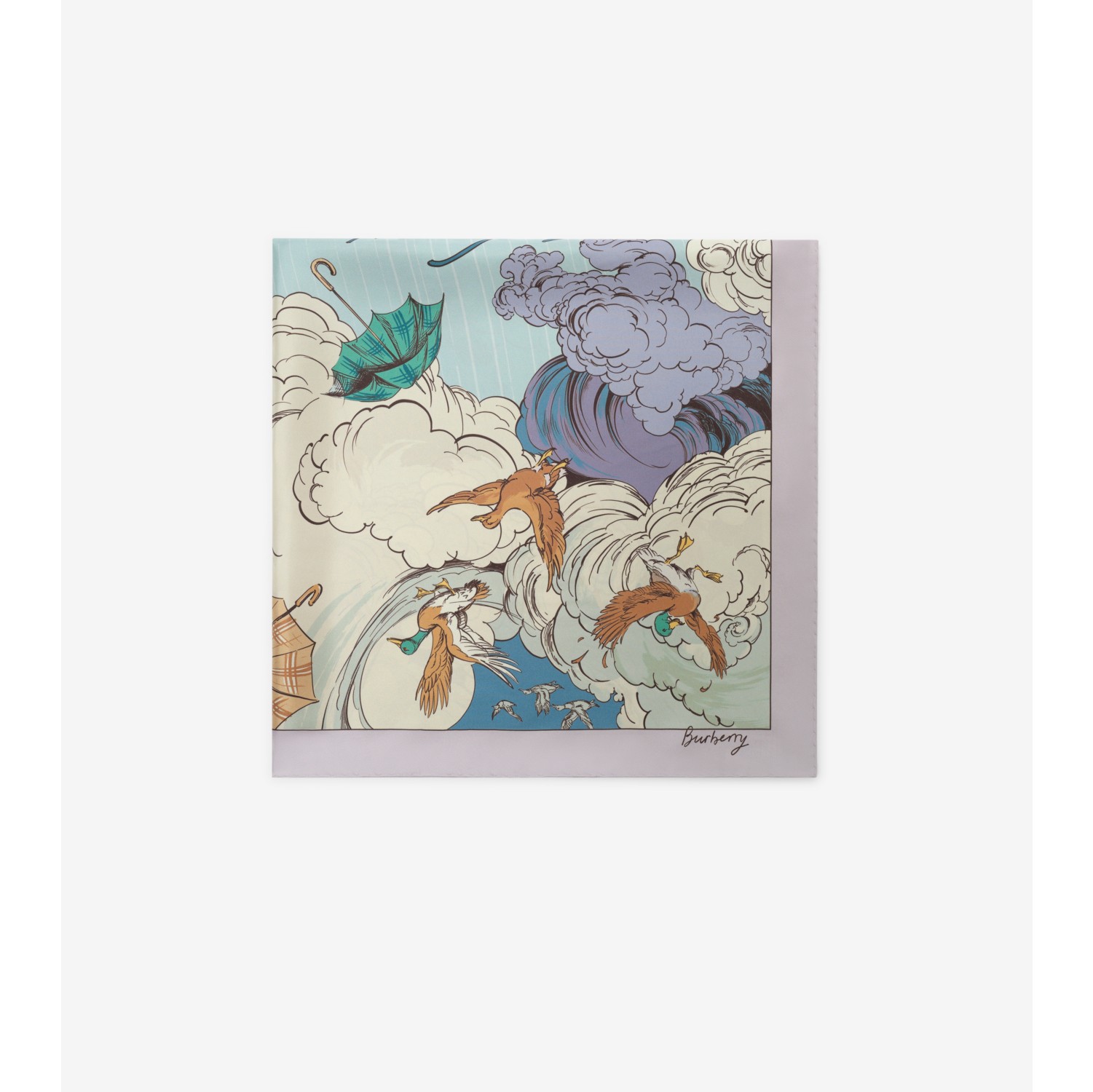 Weather For Ducks Silk Scarf