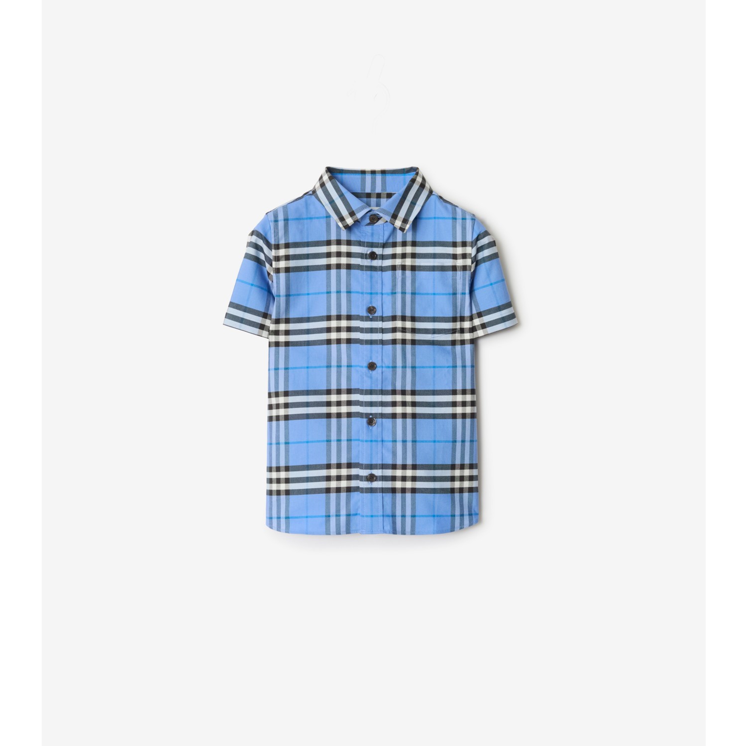 Check Cotton Oxford Shirt