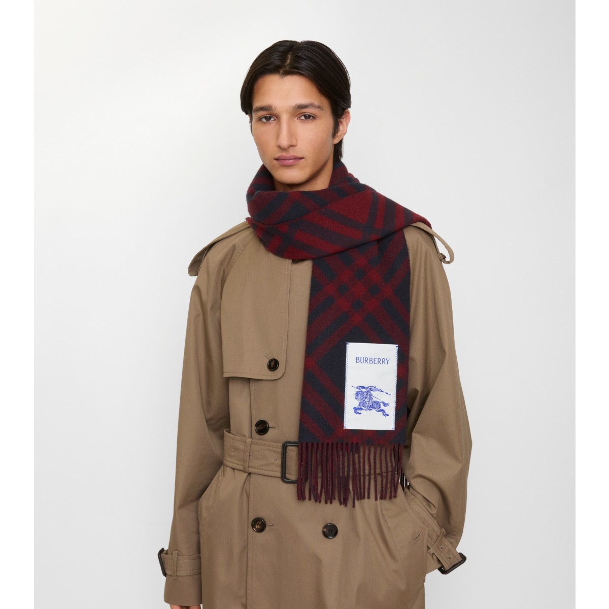  Check Cashmere Scarf