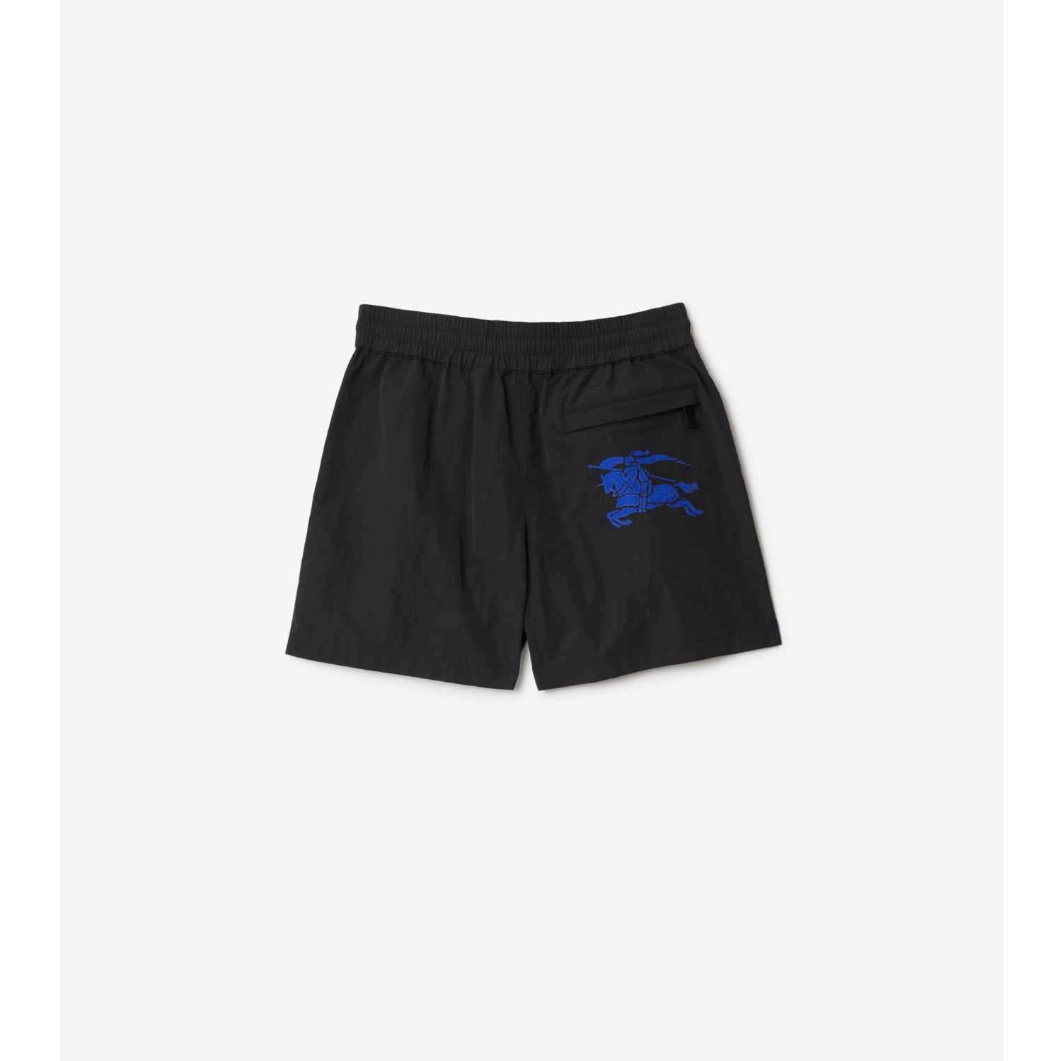 Nylon Shorts