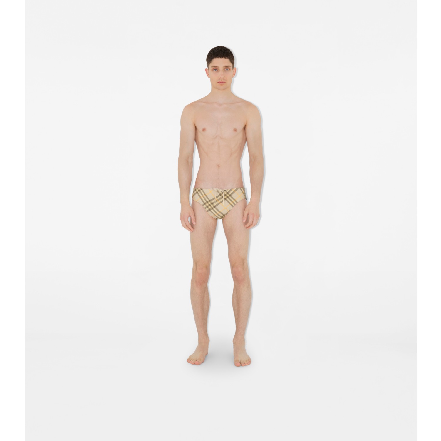 Check Swim Briefs