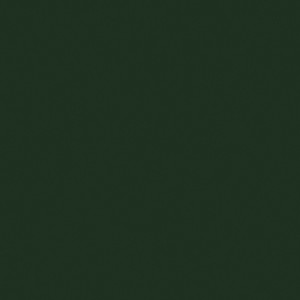 Dark fern green