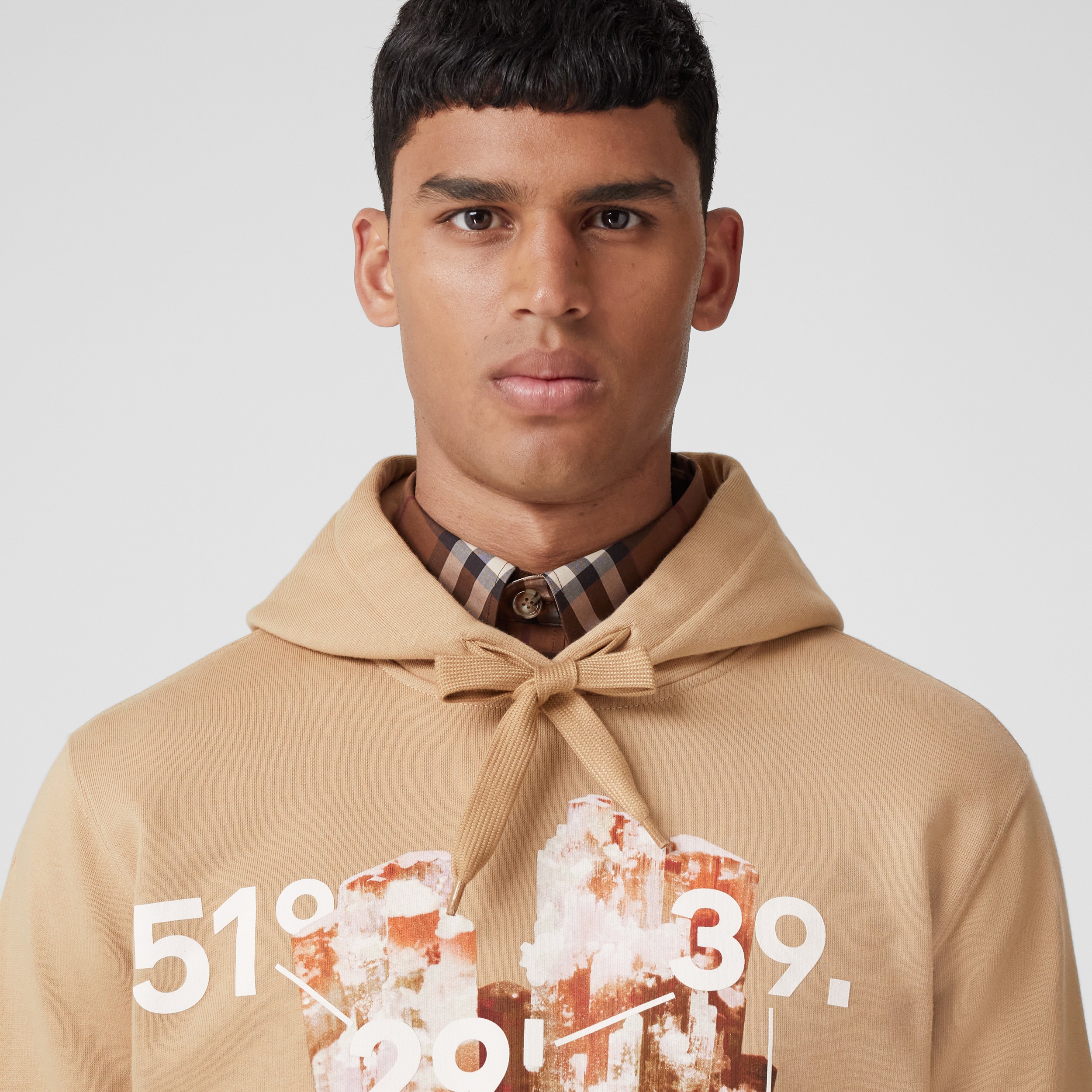 Crystal and Coordinates Print Cotton Hoodie in Soft Fawn - Men | Burberry® Official - 2