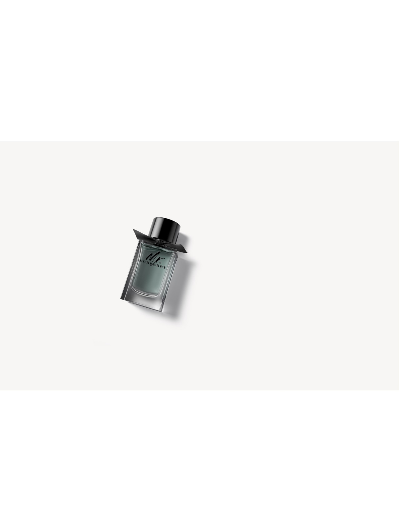 Mr. Burberry Eau de Toilette 100ml - Men | Burberry® Official