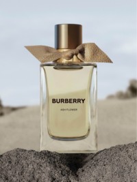 Burberry Signatures Ash Flower