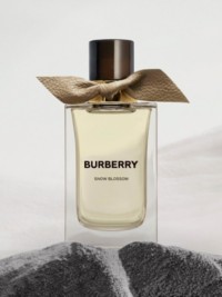 Fragranza Burberry Signatures Snow Blossom