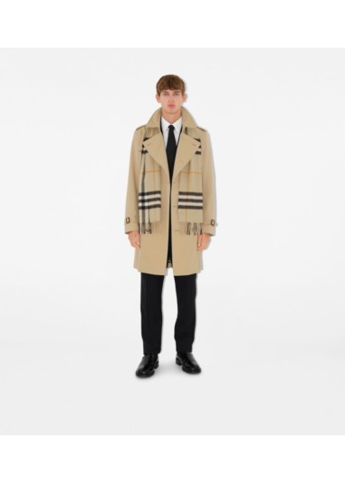 Burberry trench coat mens fashion yellow