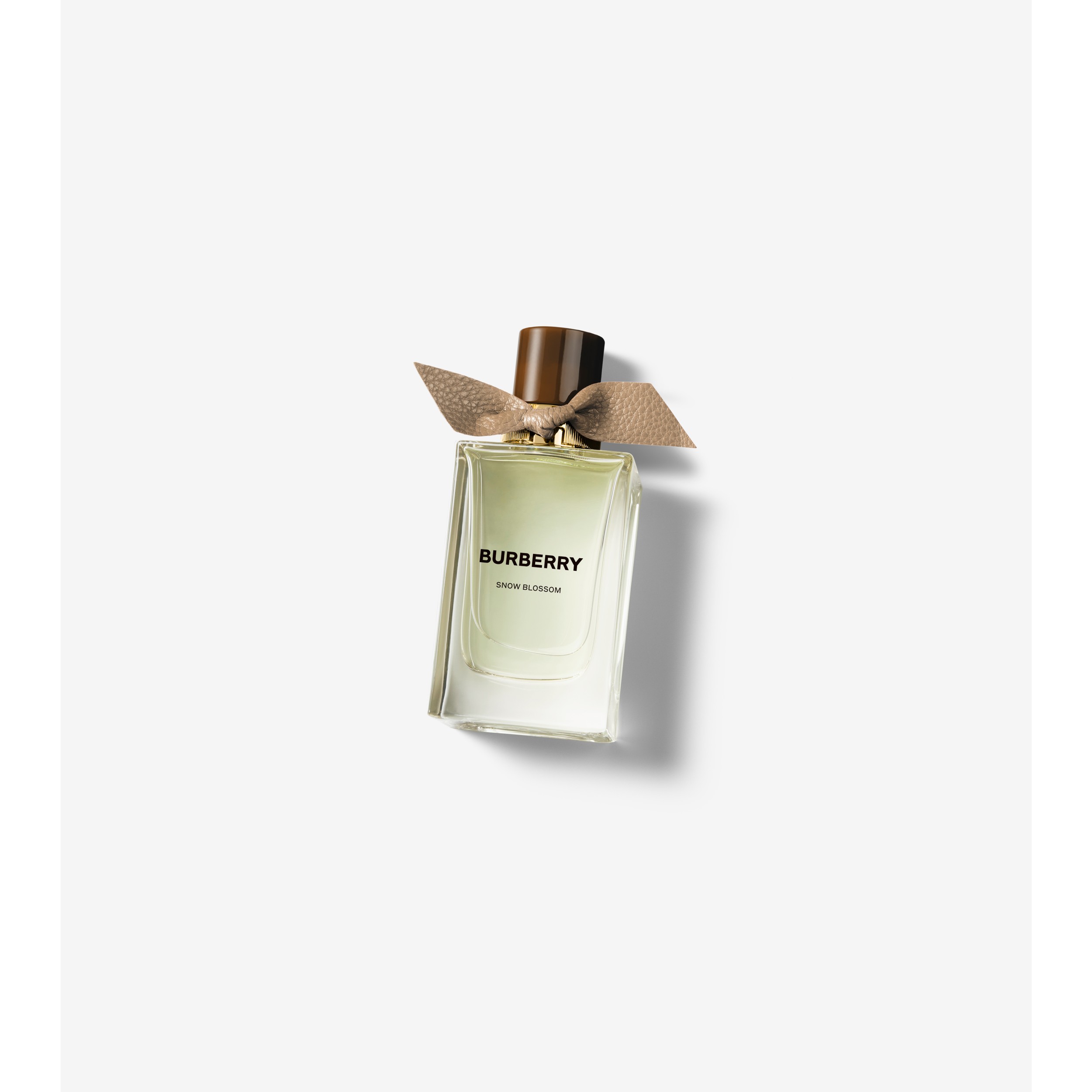 Burberry store winter perfume