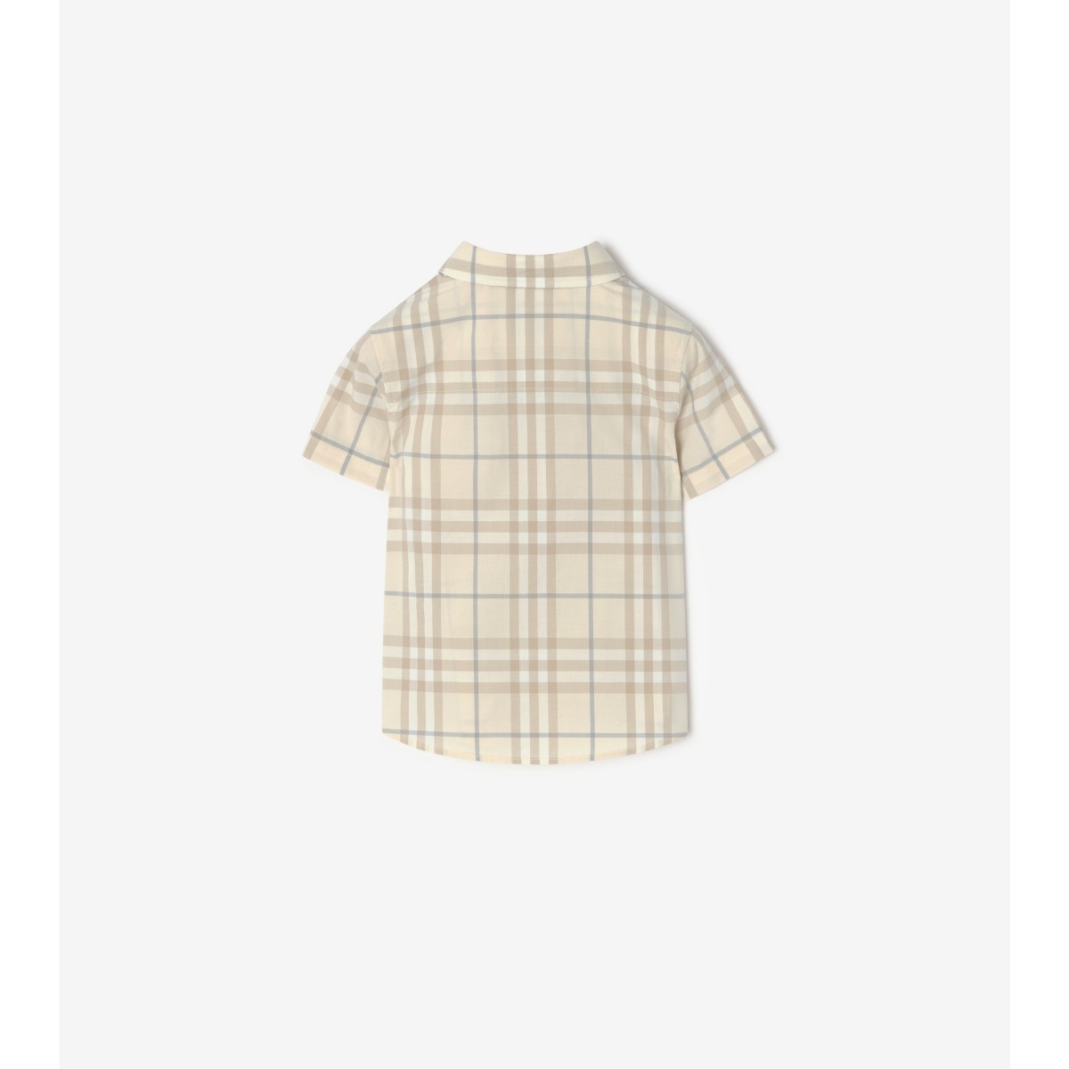  Check Cotton Shirt