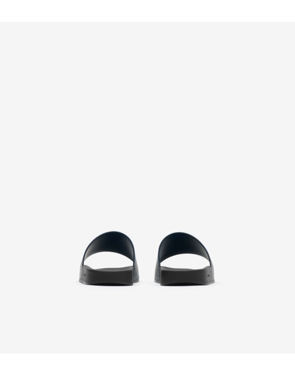 Check Slides