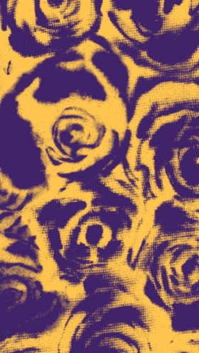 Imprimé roses en violet et jaune