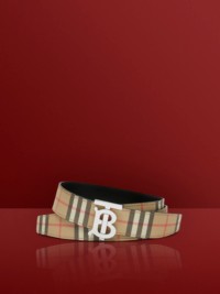 Archive Beige Check and Leather Reversible TB Belt