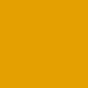 Sunflower yellow