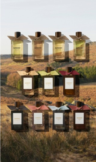 Burberry Signatures Golden Haze Promotional Video
