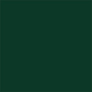 Dark fern green