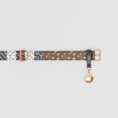 burberry dog collar