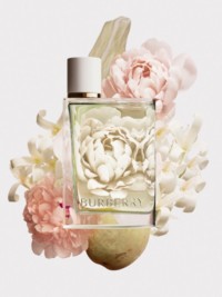 Olfactorum: Burberry's Her Eau de Parfum : chaudron magique.