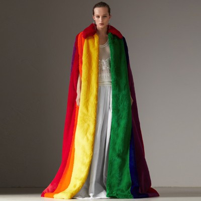 burberry rainbow coat