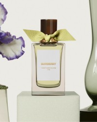 La collection de parfums "Burberry Signatures"