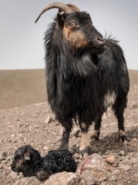 Une matière précieuse