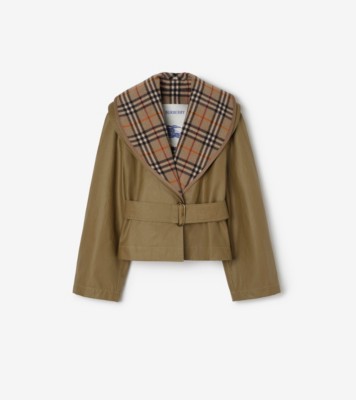 6B366BA5-AFE8-4079-8FEC-