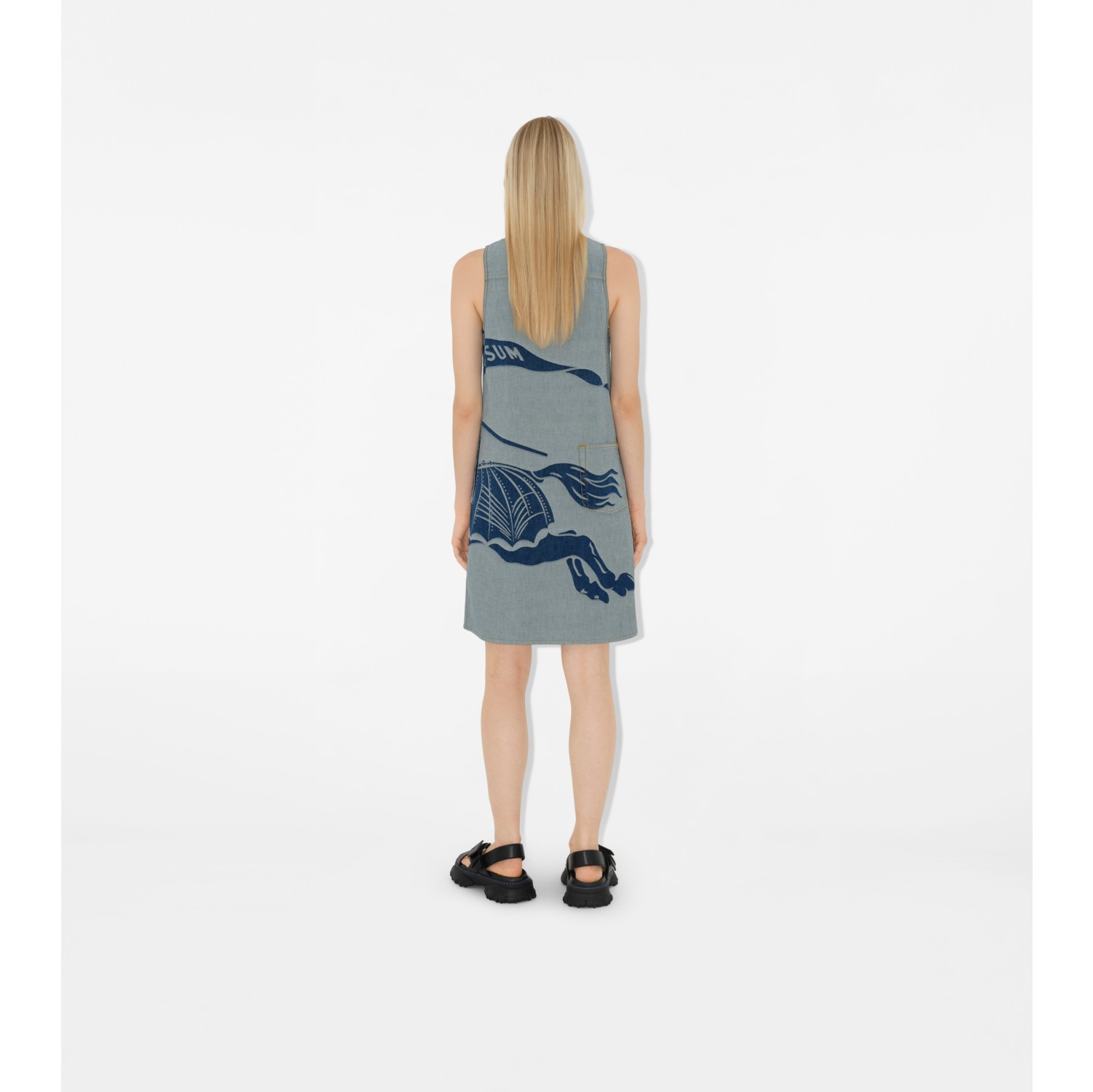 EKD Denim Dress