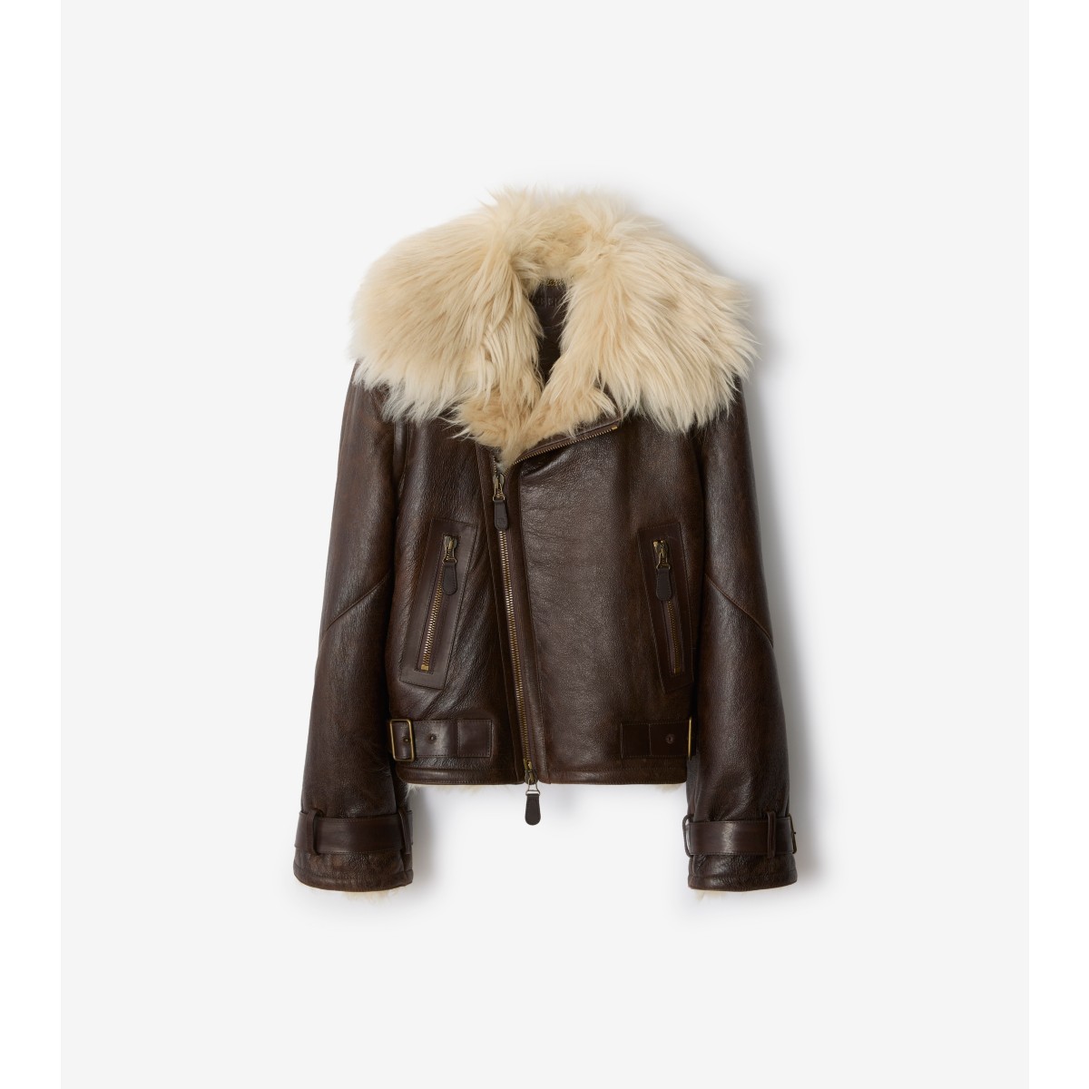 Burberry Cropped Shearling Aviator Jacket In Multi