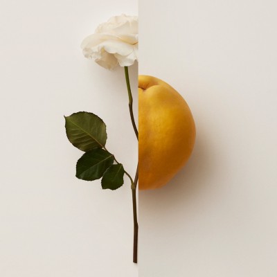 burberry wallet 90ml