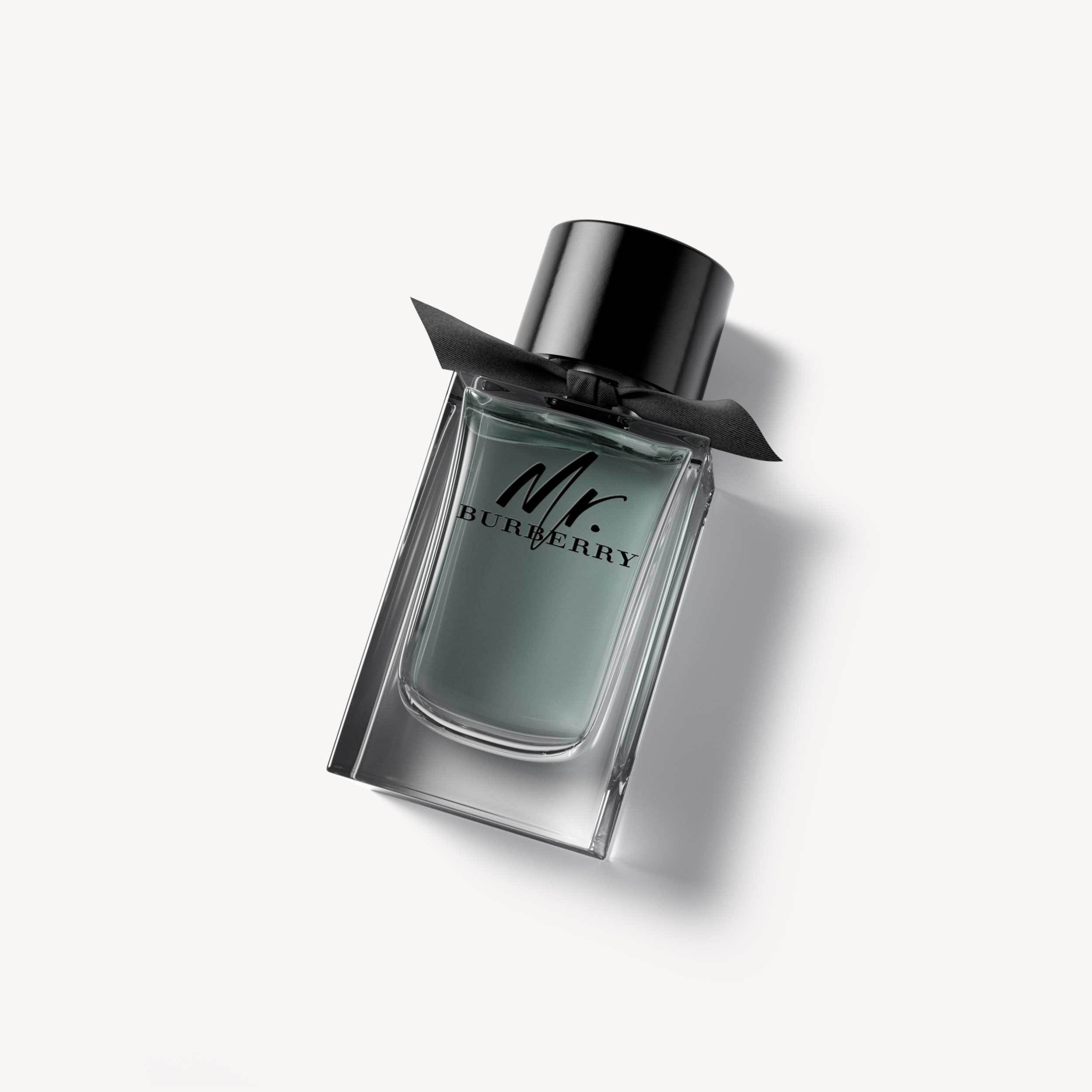 Mr. Burberry Eau de Toilette 150ml - Men | Burberry® Official