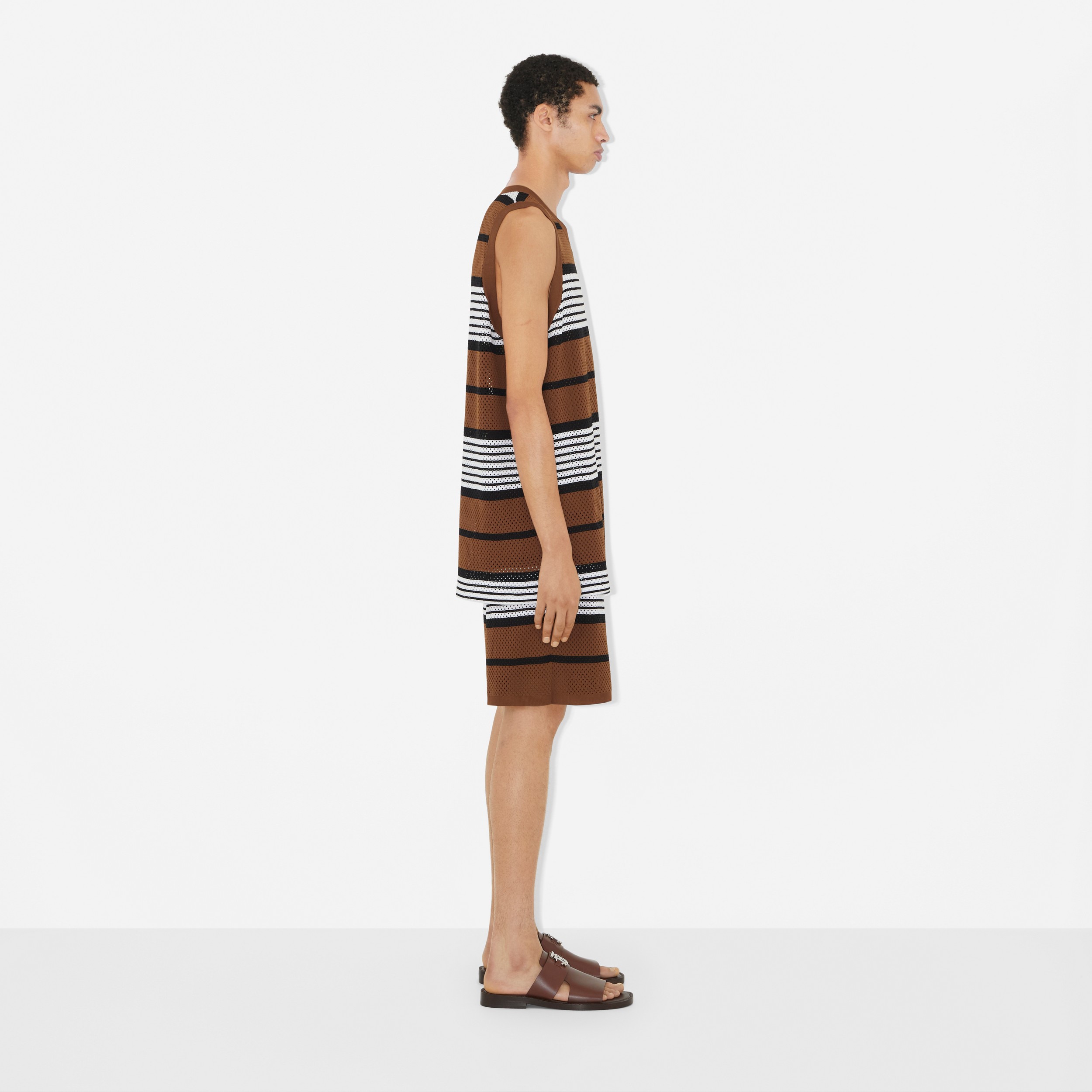 Stripe Print Nylon Shorts in Dark Birch Brown - Men | Burberry® Official - 3