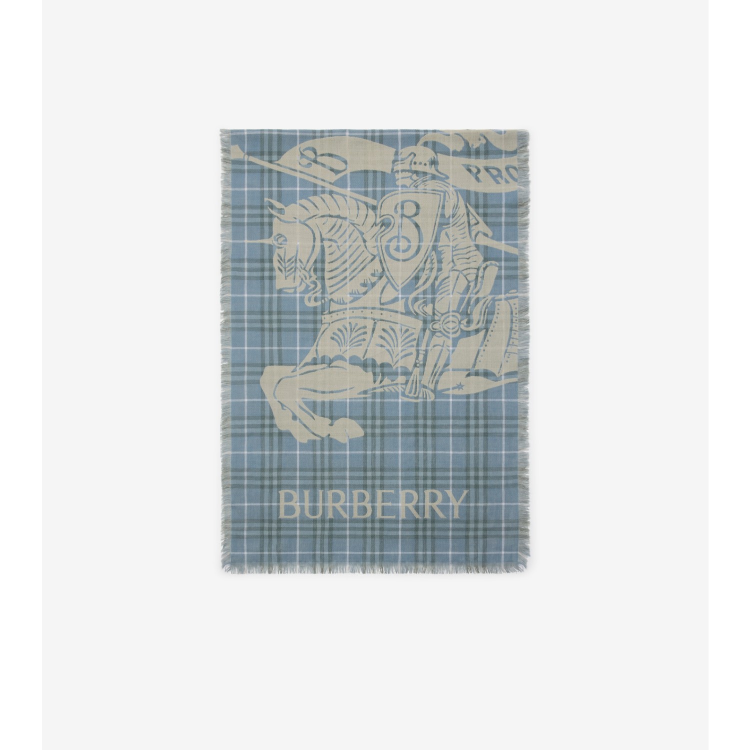 Écharpe en laine Check EKD