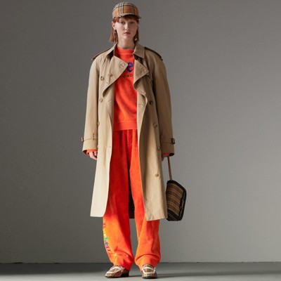 burberry rainbow trench